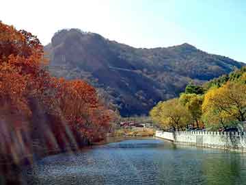 新澳天天开奖资料大全旅游团，碳酸钙母粒造粒机